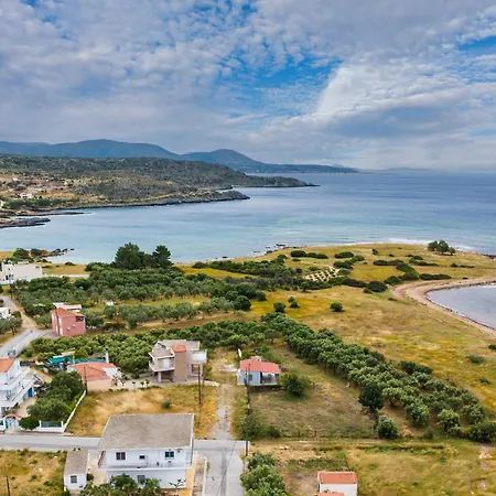 Laconia Domus - * Plitra