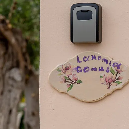 Laconia Domus - Apartment *